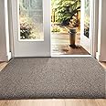 DEXI Dirt Trapper Door Mat Indoor, Non-slip Doormats Inside, Machine Washable, Super Absorbent Entrance Mats Soft Floor Carpet Rug, 50 x 80 cm, Brown-Blue