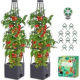 MQHUAYU Plant Stands, 145 cm Planting Boxes with Automatic Watering, Height Adjustable Support Climbing Plants, for Climbing