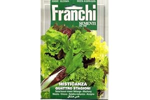 FRANCHI SEMENTI SEMENTI DI ORTAGGI DI QUALITA' PER USO HOBBYSTICO PROTETTE IN DOPPIA BUSTA (MISTICANZA QUATTRO STAGIONI)