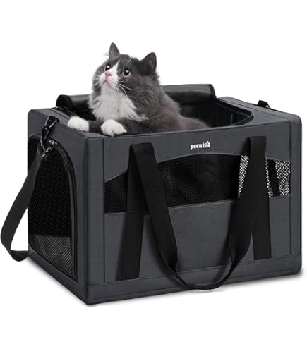pecute Reistas voor Katten en Honden, met Dubbele Wielen, Ademend