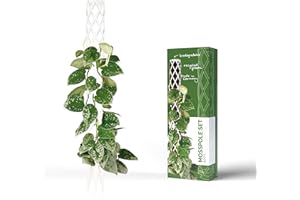 PlantMe Rankhilfe Mini, kleine Rankhilfen für Kletterpflanzen, Monstera, Moosstab, Pflanzstab, Pflanzenstütze, small Moss Pole, Kletterhilfe Zimmerpflanzen (40cm Without Filling, Weiß)