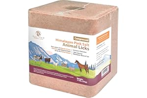 S SALTEAN SALTEAN Compressed Himalayan Horses Lick Natural Pink Salt, with strong hanging Rope, No Starch Suitable for all Animals(5 kg) "Salt Range Pakistan"