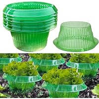 Transparente Schneckenkragen – Wiederverwendbarer Schutz Für Salat & Kohl Gegen Schneckenfraß