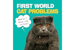 First World Cat Problems: What am I doing with my lives?