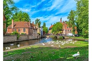 BESDRETOR Puzzles 1000 Pieces for Adults jigsaw puzzles for adults 1000 Piece Puzzle Educational Games -Bruges.