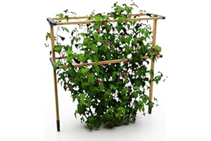 Gusta Garden Berry Buddy - Flexible Rankhilfe für Beeren: Himbeeren, Brombeeren & Heidelbeeren, erweiterbar, produziert in der EU, Rankgitter aus Holz (120cm)