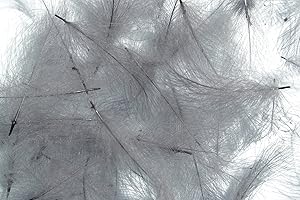 Pechetruite 1g - CDC (Cul de Canard) Federn - BWO (Blue Wing Olive) - Für Fliegenbinden