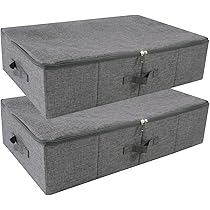 iwill CREATE PRO Opbergdozen/organizer met deksel, opvouwbaar inklapbaar met handvat, 2 stuks, beige (beige, 2 stuks