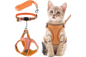 FIHODONE Katzengeschirr mit Katzenleine Katzenhalsband,Katzengeschirr mit Leine Ausbruchsicher,Cat Harness Verstellbar,Katzenleine mit Geschirr für Katzen Orange mit Reflexstreifen (M, Orange)