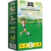 Semillas Batlle Heavy Duty Compact Lawn - 1 kg