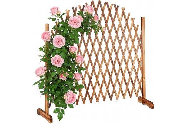 Relaxdays Treillis Jardin en Bois Extensible 200 cm, Clôture Grillage Pliable, Plante grimpante Brise-Vue Balcon, Flambe, Nature