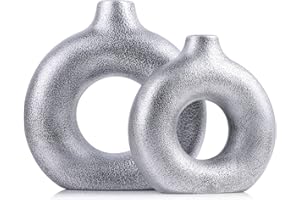 QIANLING Jarrón plateado, juego de 2 jarrones de cerámica plateados, jarrones plateados para decoración, jarrones plateados para centros de mesa, jarrón de flores plateadas, se aplica a sala de estar, cocina,