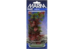 Marina Pianta Lugwigia per Acquario in plastica, 20 cm, Rosso
