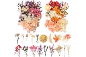 LAUMOE 2 Sätze Trockenblumen, Trockenblumen zum Basteln, Getrocknete Blumen Deko für Kunst Basteln Dekoration