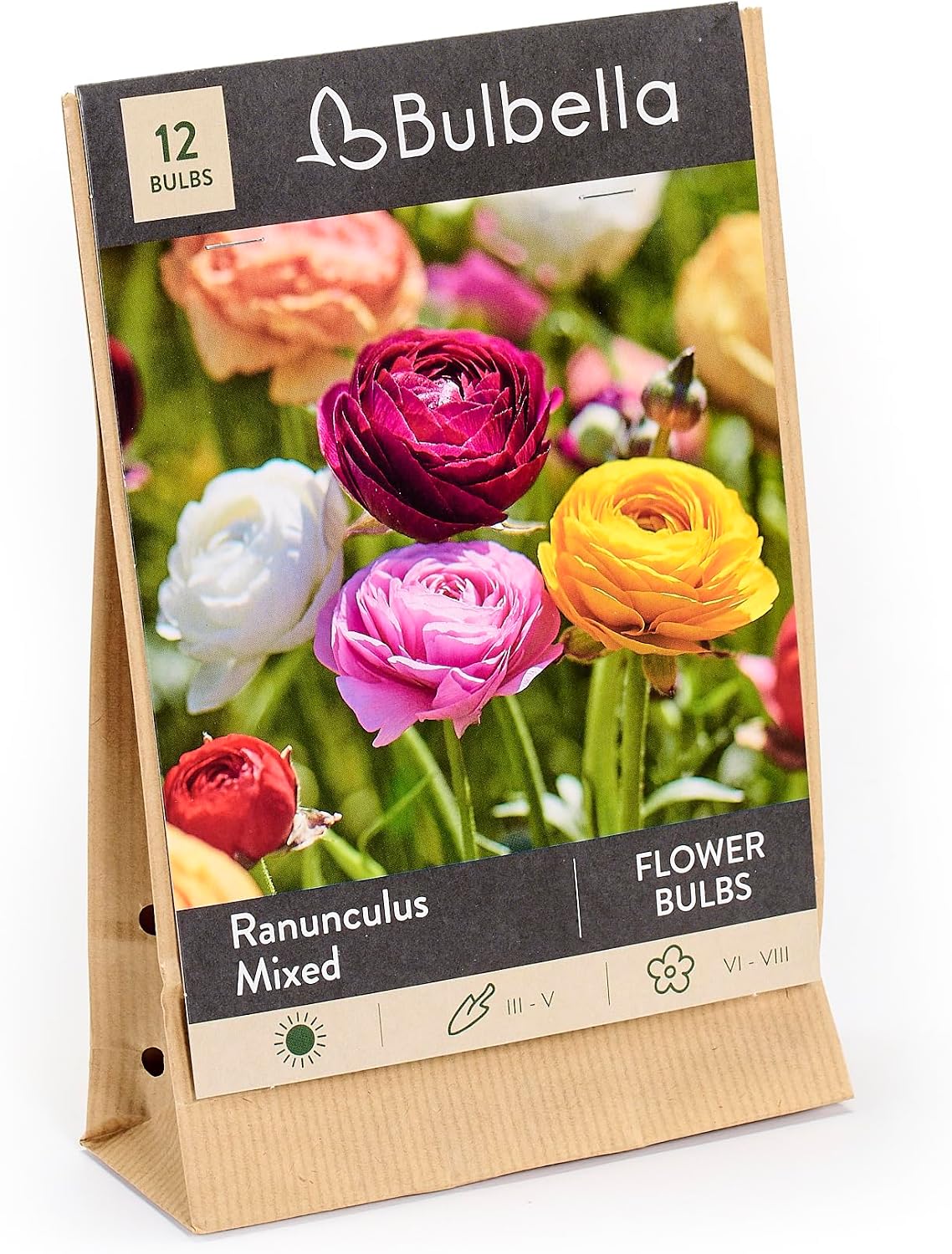 Bulbella Ranunculus Mixed Flower Bulbs – 12 Pack Colorful Persian Buttercup Bulbs for Planting – Spring Blooming Garden Flowers – Ideal for Beds, Borders & Containers