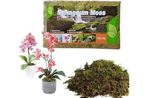 SOPSTUO Sphagnum Moss for Plants 5L Terrarium Reptiles Moss Green Dried Peat Moss Habitat Bedding Moss Real Moss Soil Cover for Houseplant and Other Reptiles Substrate
