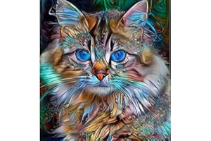 EOBROMD 5D Cat Diamond Painting Kits for Adults, Diamond Painting Cat Diamond Art Kits Full Drill Diamond Painting Kits Animal Crystal Rhinestone Supplies Art Craft for Home Wall Decor (Maine Cat 14x14 Inch)
