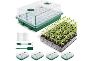 YAUNGEL Zimmergewächshaus Anzuchtkasten, Verdicken XL Anzuchtset 38x24x12 cm Mini Gewächshaus Anzucht Set mit Deckel und Belüftung für Samen & Setzlinge, 4 Stück 160 Pflanzlöchern, Grün