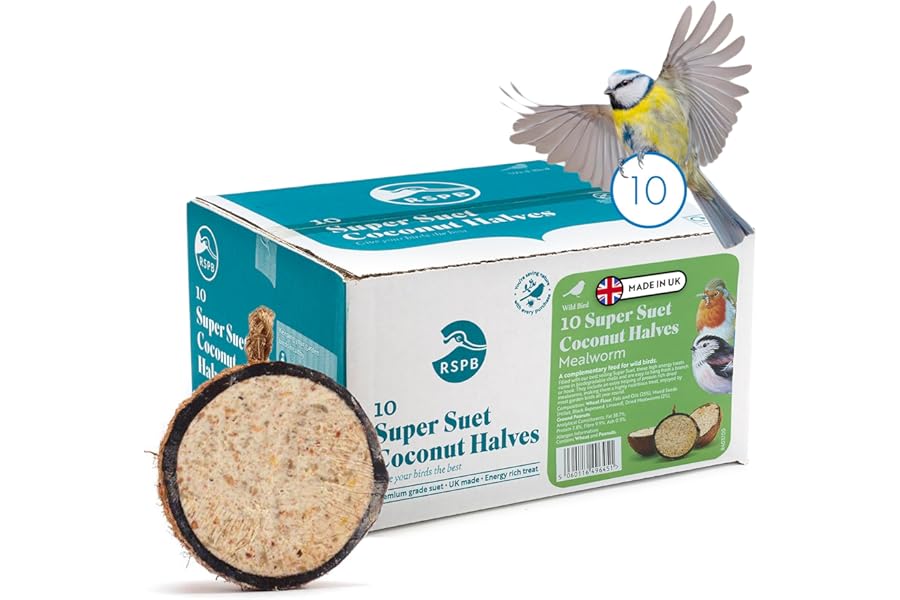 Coconut Bird Feeder Halves, Wild Bird Food for Small Birds with Suet, Dried Mealworms, Seeds, and Cereals, High Energy Food, Filled in the UK, Suitable for Year-Round Feeding - RSPB x 10 (320g)