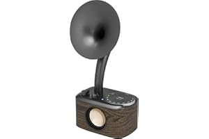 Sangean WR-45 Black (Euphonic 450) Chopin Silver (BT/FM/Bateria)