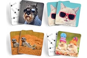 Schöne Güter MEMO-Meister Memo Spiel | LUSTIGE-Tiere I Familienspiel Legespiel 44 Karten 22 Paare I Geschenk Kinder ab 4 Jahre | extradicke Karten I Natur-Karton