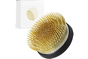 Wazakura Kenzan Radiale per Ikebana in Ottone (62mm) per Composizioni Floreali, Realizzato in Giappone, Strumento Giapponese per Arrangiamenti Floreali - Kenzan Radiale in Ottone 62mm