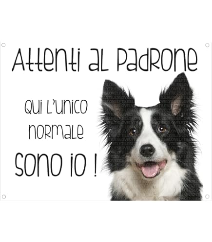 Cartello Metallo 'Attenti Al Cane' Border Collie - 15x20 Cm - Decorazione Da Esterno - Foto 8