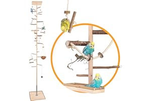Vogelgaleria® HiFly Medio Room High Bird Climbing Tree 244-246 cm with Natural Wood Perches Bird Toy Bird Swing Bird Playground Free Flight Landing Area for Budgies Cockatiels