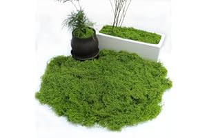 Hpamba Muschio Artificiale, Decorazione Artistica, Muschio Finto Decorativo Muschio per Parete 200 G di Muschio Artificiale da Decorare,Muschio Artificiale per Modellismo, Parete, Terrario, Casa