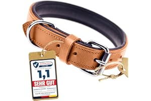 Schnüffelfreunde Obroża skórzana dla psa I Obroża dla psów ze skóry (XL - 46-55cm, Beżowy)