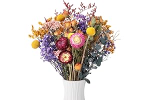 saerryor 30 Pcs Natural Dried Flowers，9 Kinds of Dried Flowers Set, Decorative Dried Flowers for DIY Dried Flower Bouquet, Vase Decoration（color 2）