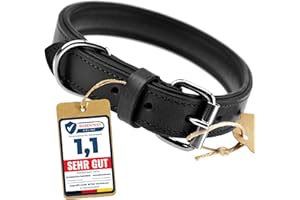 Schnüffelfreunde Obroża skórzana dla psa I Obroża dla psów ze skóry (L - 36-45cm, Czarny)