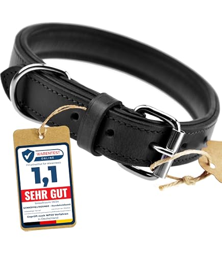 Star Wars Darth Vader Hundehalsband Von Loungefly - Größe L, Schwarz