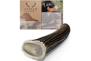 Antler Chew – Large Antler Dog Chew (130–180g, From 13cm) | Naturally Shed & Sanded | Long-Lasting, Odourless Chew for Moderate Chewers | Supports Dental Health
