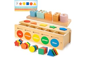 JUSTWOOD Montessori - Giocattoli in legno per bambini dai 3 ai 6 anni, classificatori di forma e colore, giocattoli in legno impilabili, inclusi blocchi geometrici e contatori matematici