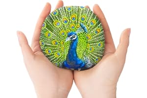 ROCART 12 roches plates extra larges de 10 à 13 cm pour la peinture, roches de rivière lisses, fournitures de peinture pour pierres de bonté, arts et artisanat, décoration