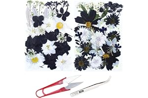 Cayway 2 opakowania naturalny tłoczony kwiat, czarno-białe tłoczone naturalne kwiaty naturalne kwiaty tłoczony liść kwiatów dla majsterkowiczów biżuteria z żywicy do tworzenia kwiatowych paznokci,