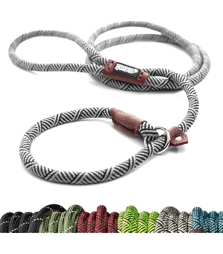 Running Leash For Dogs NOX 4-in-1 Hands-Free Dog Leash