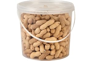 HUNGRY WINGS Peanuts In Shell, Wild Bird Food, 2.5L