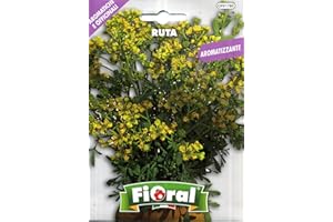 Semences de plantes aromatiques et officinales en sachet pour jardinier amateur