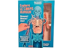 Explore le corps humain !