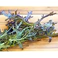 Graines De Mizuna (Brassica Rapa) - Légume Feuille Asiatique, Environ 200 Graines Par Sachet