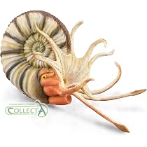 CollectA Prehistoric: CollectA Belemnite 88904