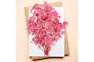 RUGBOL Flores secas de gypsophila, Flores secas de gypsophila Rosa para Manualidades, Scrapbooking, joyería, Decoraciones Florales