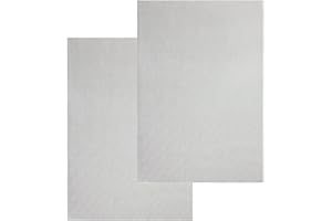 TIMEMEET Confezione da 2 - Rete metallica in acciaio inossidabile, rete metallica a 20 maglie, fogli di rete filtrante in acciaio inossidabile, resistente agli insetti, resistente all'abrasione(210 x 300 MM)