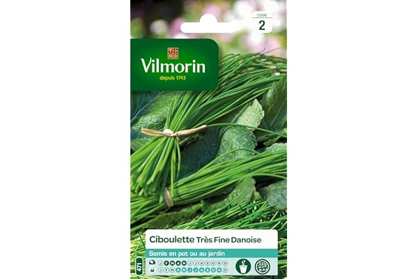 Vilmorin 3410445 Pack de Graines Ciboulette Très Fine Danoise