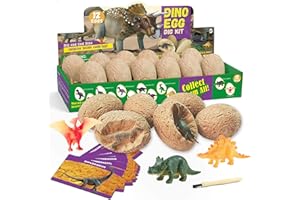 Dr. Daz, Kit di scavo di dinosauri – Kit di scavo di uova di dinosauro – regalo scientifico e giocattoli e gioco per ragazzi e ragazze di 6-12 anni