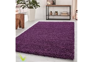 Wadan 60x110cm Purple Shaggy Rugs Living Room |5mm Thick Pile | Extra Large Small Medium | Rectangular Size | Soft Touch | Living Room Area Rugs | Non Shedding
