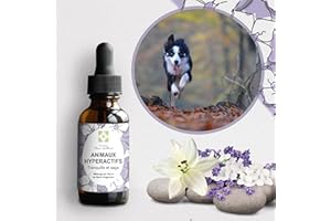 Conseil fleur de Bach® - Fleurs de Bach Animaux hyperactifs - Ce mélange va permettre à votre animal, de s'apaiser, de l'aider à se canaliser, à se modérer, s'auto discipliner et de retrouver du calme