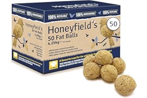 Fat Balls for Wild Birds (50) - High Energy Suet Feed, Nutritious, Great for Hanging Feeders, Attracts Birds to Garden All Year Round - Honeyfield's